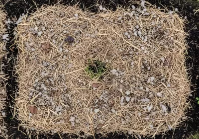 Imagen PNG para descargar